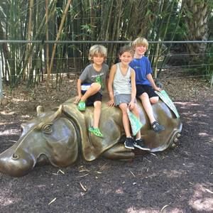 Meet your Posher, Sherry